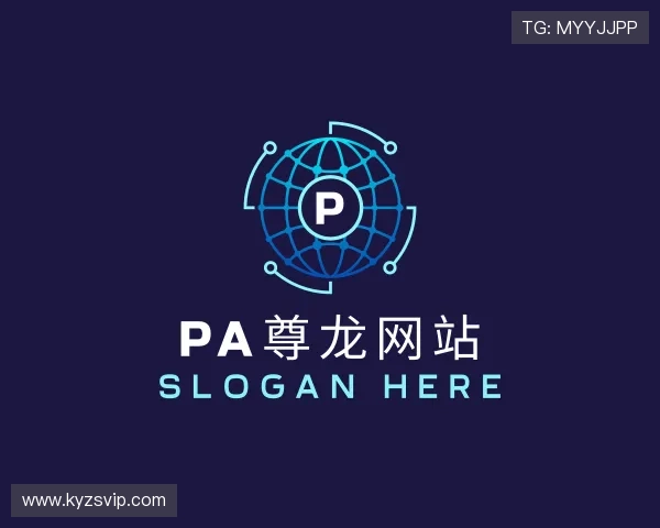 关于PA尊龙网站